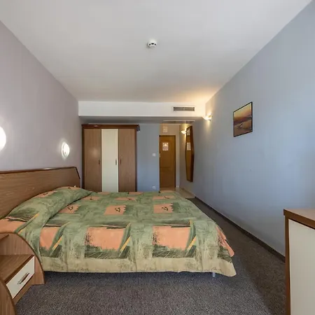 Hrizantema Napospart