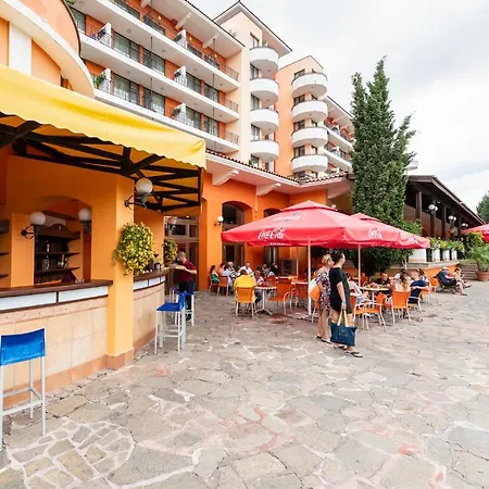 Hrizantema 4* Napospart