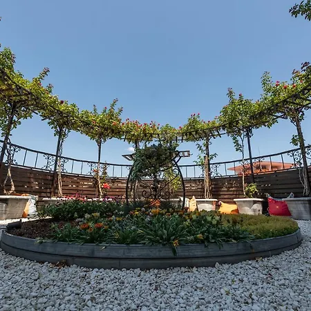 Szálloda Hrizantema Napospart