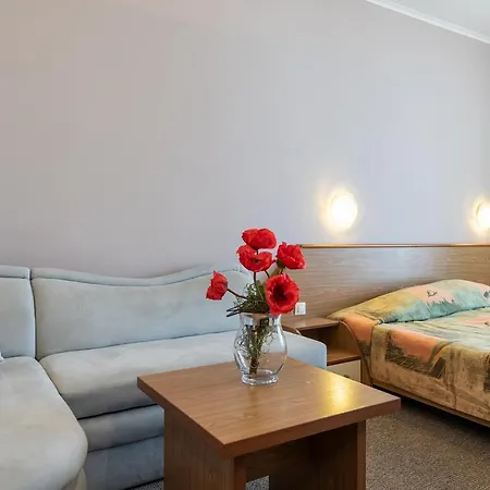 Hrizantema Szálloda Napospart