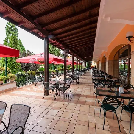 Hrizantema 4* Napospart