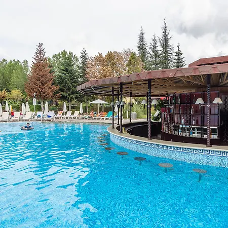 Hrizantema Napospart