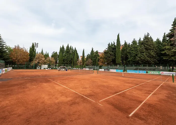 ホテル Hrizantema 4*