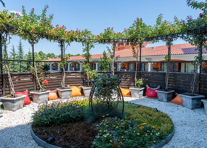 ホテル Hrizantema 4*