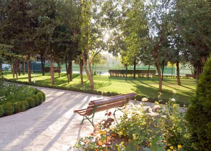 Hrizantema ホテル サニービーチ