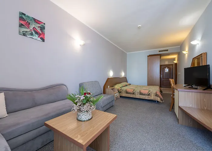 Hrizantema ホテル