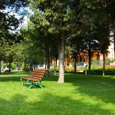 Hrizantema Sunny Beach