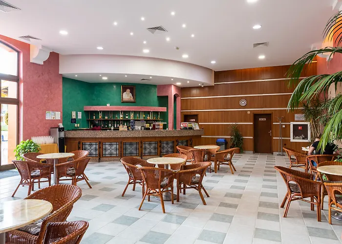 Отель Hrizantema 4*