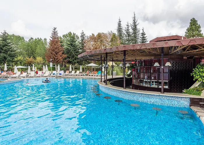 Hrizantema Солнечный берег