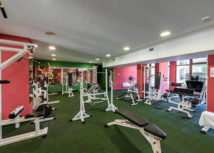 Hrizantema Отель