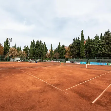 Ξενοδοχείο Hrizantema 4*