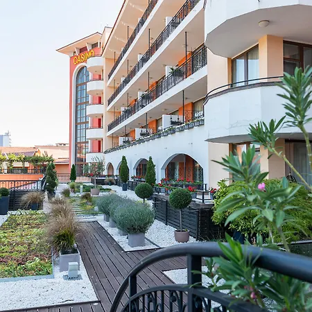 Hrizantema ساني بيتش