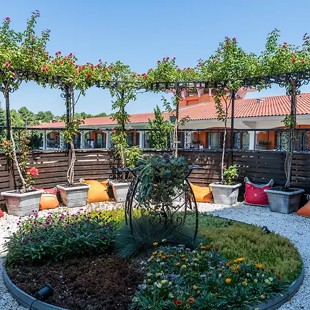 فندق Hrizantema 4*