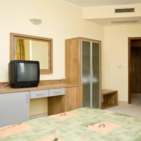 Hrizantema ساني بيتش