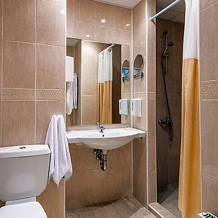Hrizantema 4*