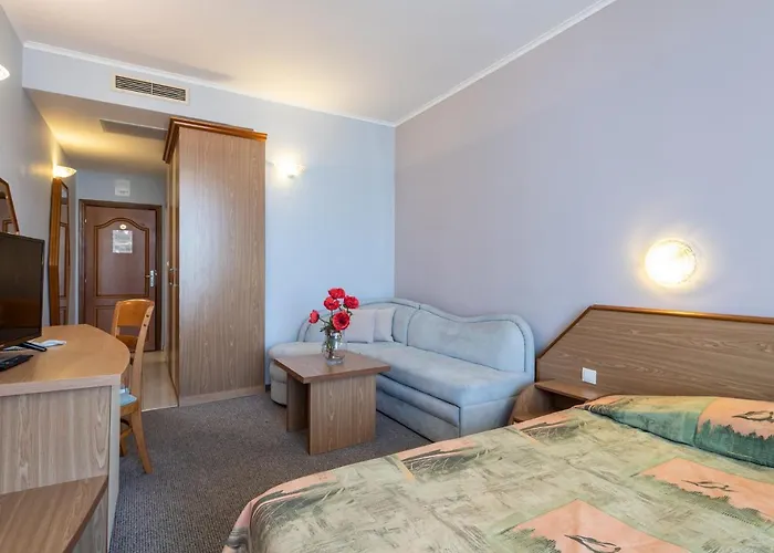 Hotell Hrizantema 4*