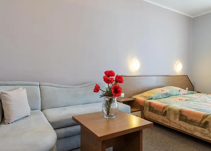 Hrizantema Hotell Slăntjev Brjag