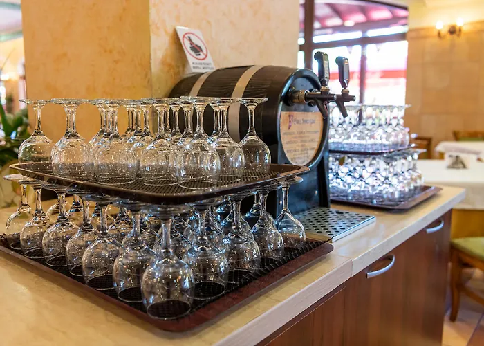 Hrizantema ホテル 4*