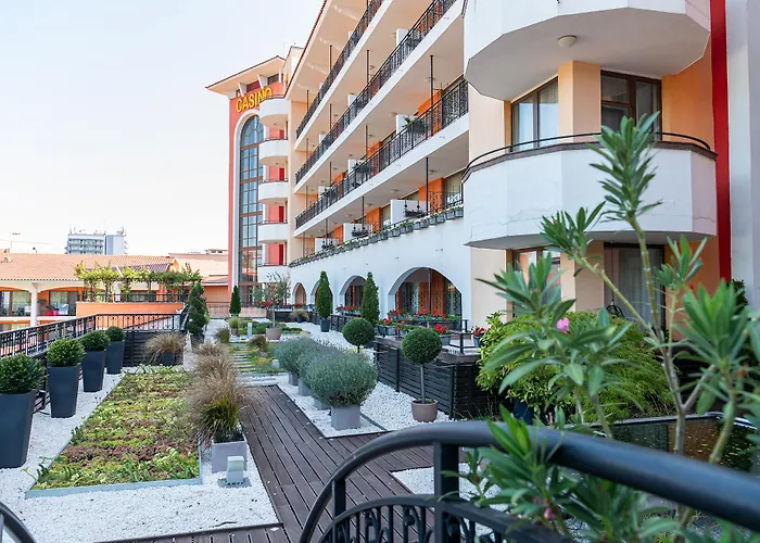 Hrizantema サニービーチ