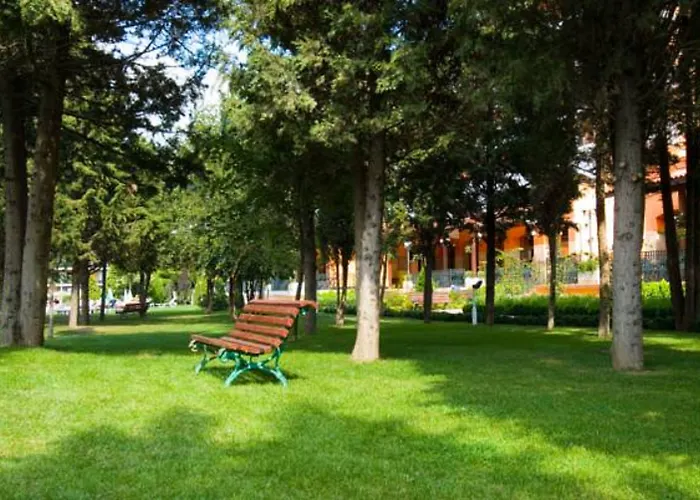 Hrizantema Slăntjev Brjag