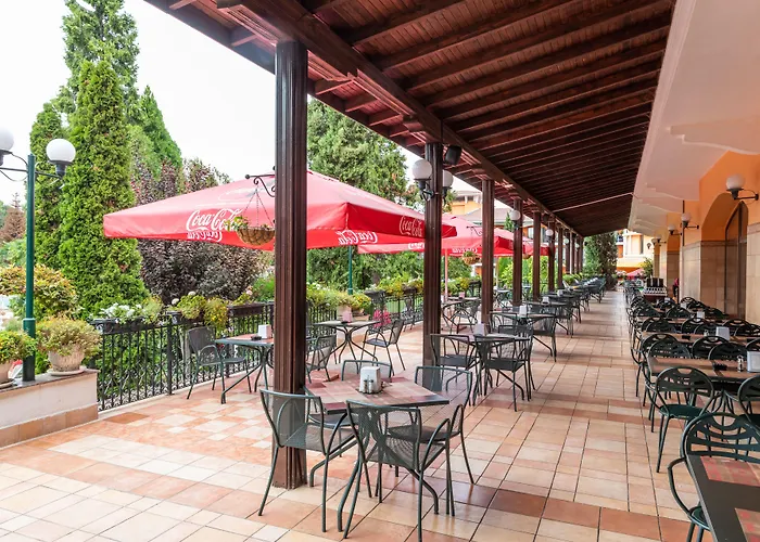 Hrizantema Hotell Slăntjev Brjag