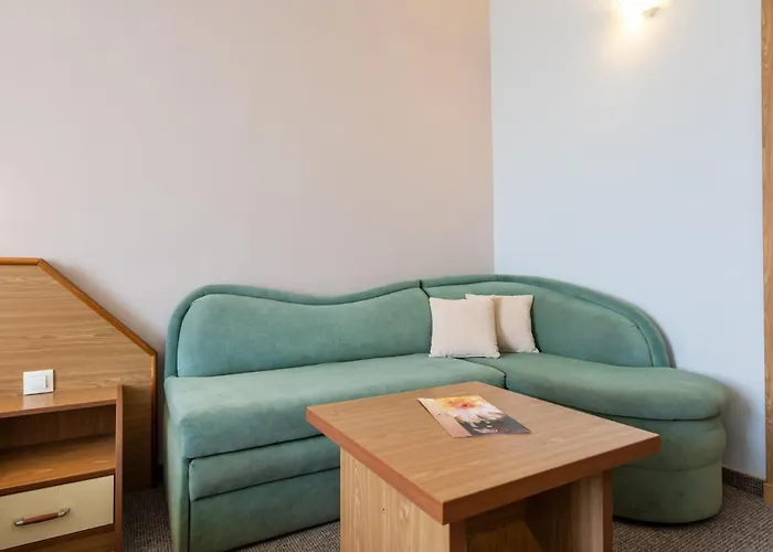 Hrizantema ساني بيتش