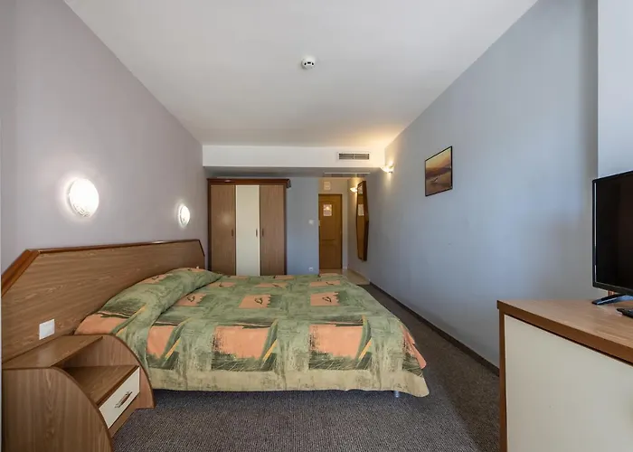 Hrizantema ساني بيتش