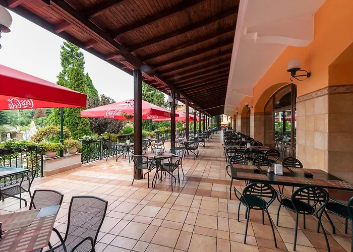 Hrizantema 4* ساني بيتش