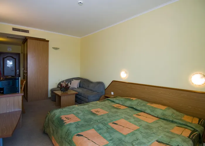 Hrizantema 4* ساني بيتش